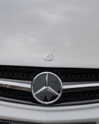 Calandra Mercedes SL