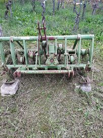 VANGATRICE CELLI seminuova