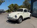 volkswagen-maggiolone