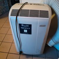 deumidificatore pinguino De longhi 