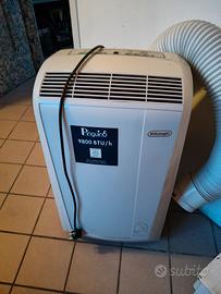 deumidificatore pinguino De longhi 