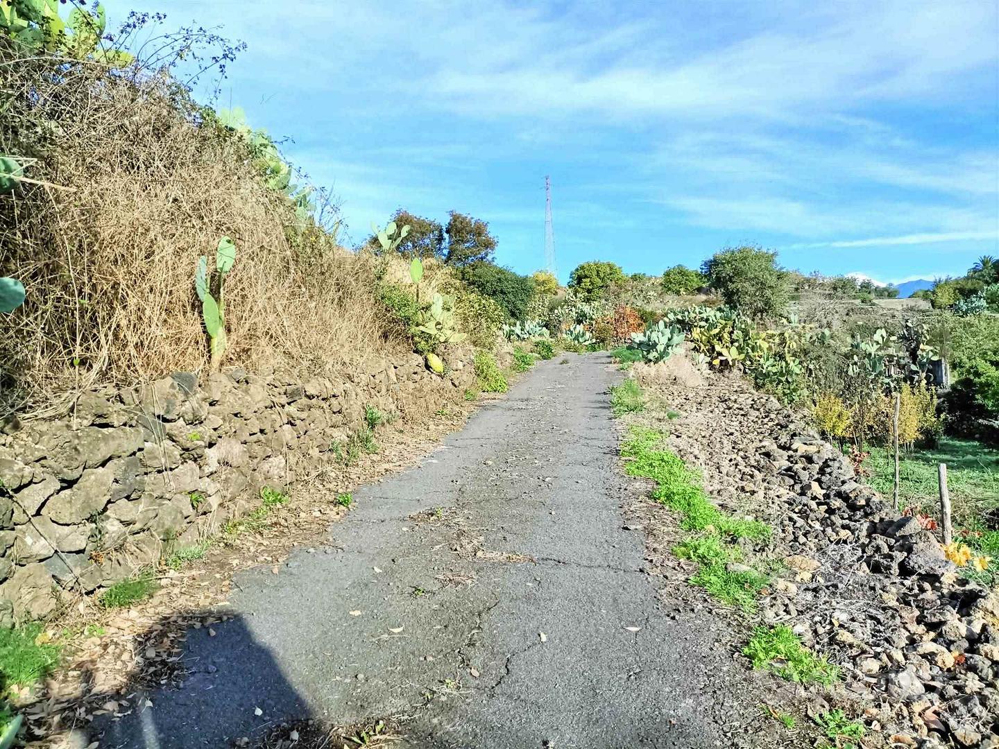 Rif.GL362| terreno agricolo belpasso - Vista 4