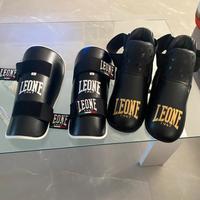 paratibie e calzari leone