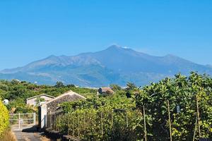 Casetta con Giardino