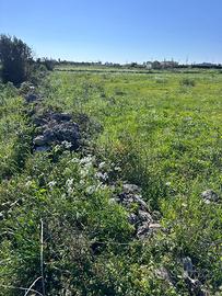 Terreno zona stadio Lecce