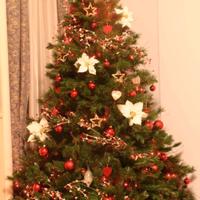 Albero di Natale Manhattan Pine 210cm