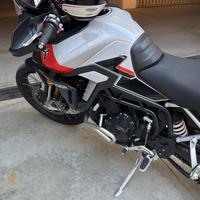 Triumph 900 Rally Pro  2024