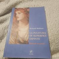 la pulitura di suoerfici dipinte