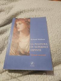 la pulitura di suoerfici dipinte
