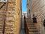 Immagine 6