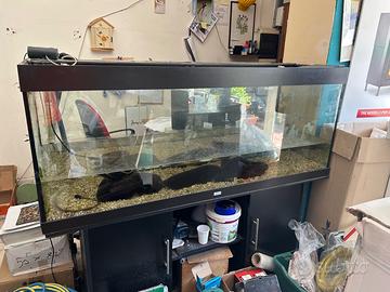 Acquario 450 litri con mobiletto e pompa