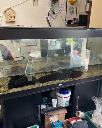 Acquario 450 litri con mobiletto e pompa