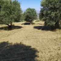 Terreno Edificabile Panoramico