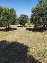 Terreno Edificabile Panoramico