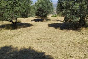 Terreno Edificabile Panoramico