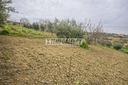 terreno-residenziale-a-monte-san-giusto-1-locali