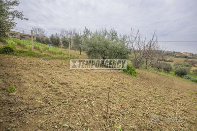 Terreno residenziale a Monte San Giusto 1 locali