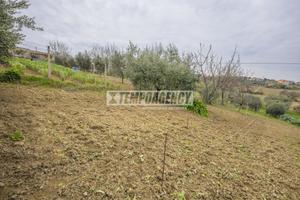 Terreno residenziale a Monte San Giusto 1 locali