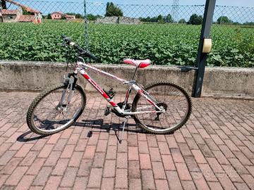 Bici ragazzo