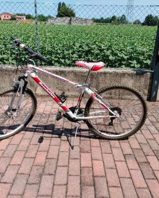 Bici ragazzo