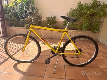 Bicicletta