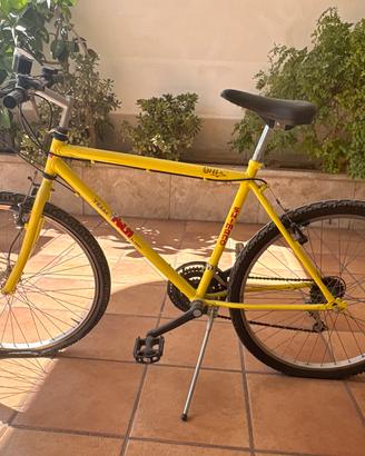 Bicicletta