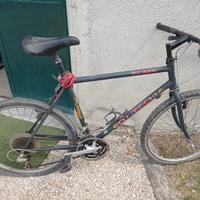 Bicicletta MTB Bottecchia