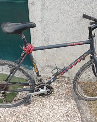 Bicicletta MTB Bottecchia