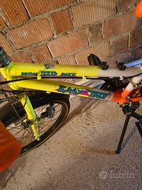 Bici MTB vintage bimba
