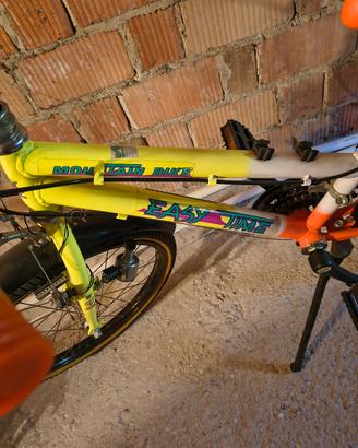 Bici MTB vintage bimba