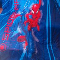 leggete l'annuncio grazie .