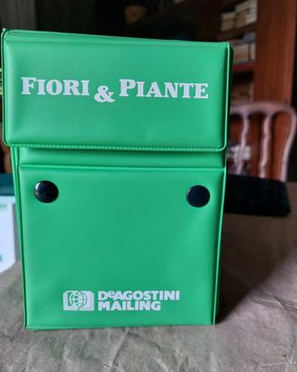 Collezione schede fiori e piante