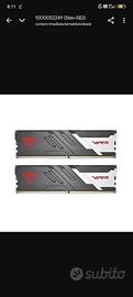 ram patriot viper dd5 