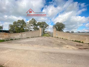 Grande tenuta con capannone, villa e dependance