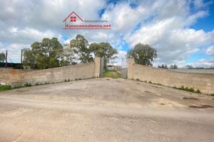 Grande tenuta con capannone, villa e dependance