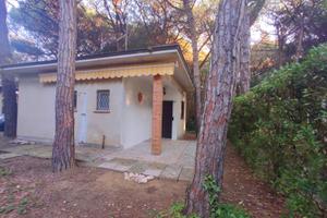 Bungalows last minute Eraclea Mare