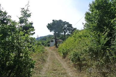 Villino unifimiliare immerso nel verde