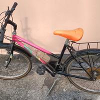 Bicicletta Mountain bike 