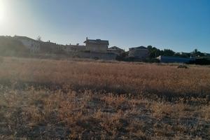 Terreni agricoli