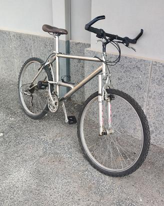 Mountain bike 