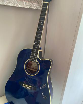 Chitarra acustica elettrificata Ibanez