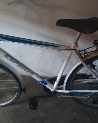 due bici