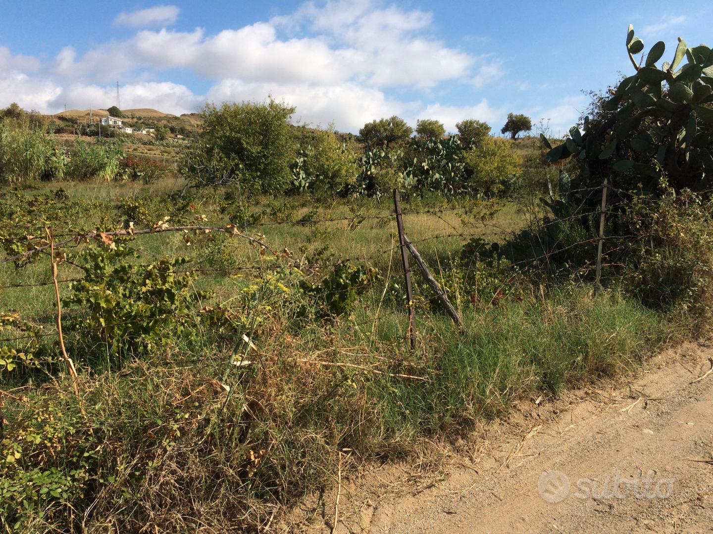 Terreno in zona Pellaro (RC) - Vista 3