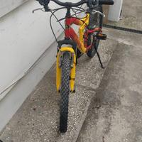MTB bicicletta