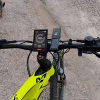 bicicletta