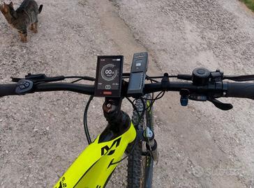 bicicletta