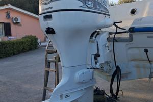 Motore johnson 115