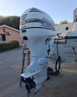Motore johnson 115