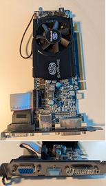 GPU scheda AMD Sapphire HD5570 1gb DDR3 PCO-E DVI