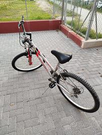 Bicicletta Run&Bike